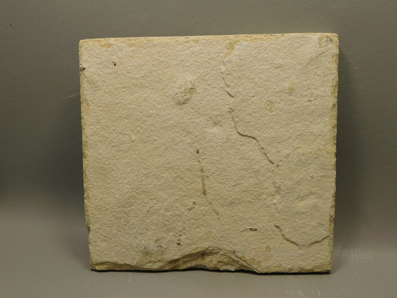 Picture 7 of 7