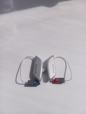 ReSound One-9 RIE & Charger (RT961-DRWC) for all losses | eBay