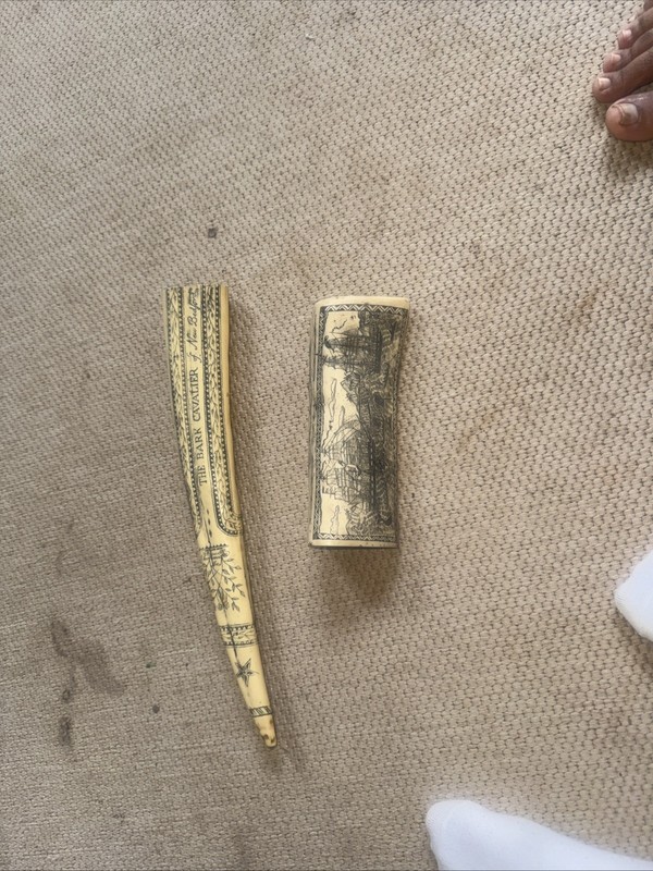 Vintage Reproduction Scrimshaw Walrus Tusk both of them