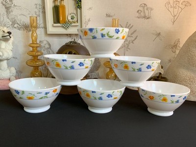 6 Luminarc Arcopal , France Reis-/Müslischalen Milchglas florales Design