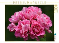 Calvendo Puzzle Pelargonium Dreams | 1000 Pieces, Finished Size 25.2 × 18.9 In (