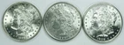 LOT OF 3 MORGAN DOLLARS GEM BU+++! SUCH BEAUTIFUL COINS! EXCELLENT BUY! NR#G2302