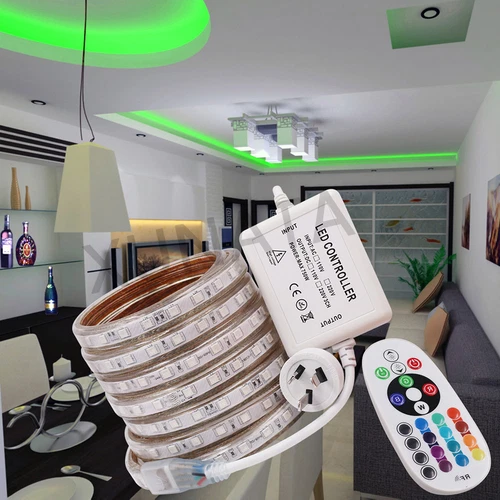 240V RGB LED Strip 220V SMD 5050 Waterproof Commercial Rope Light AU plug 1-100m