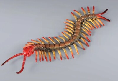 Large Centipede Insect Animal Toy PVC Action Figure Doll Kids Toys Party Gifts