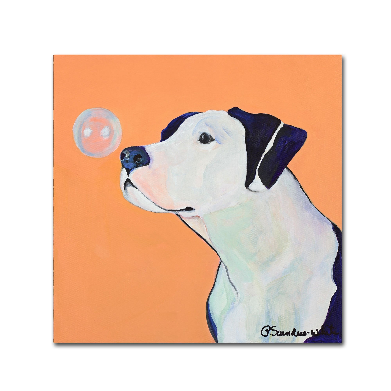 Fascination Canvas Wall Art by Pat Saunders, 14 by 14-Inch