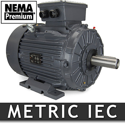 Techtop GR3-CI-TF-160LB3-4-BR-D-20 Motor 20 HP 1800 Rpm 230/460 V 160L Frame B3