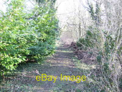 Foto 6x4 Trenseweg durch Winterwald. Duxford The sun streaming through c2007