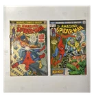Marvel Comics The Amazing Spider-Man #123, 124 Bronze Age 1973 Comic Book Lot