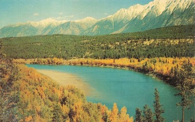 Postcard Canada British Columbia Kootenay River Autumn Fall Foliage near Wardner