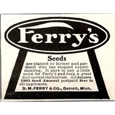 D. M. Ferry & Co. Ferry's Seeds Detroit MI 1903 Clipping SAI4-M2