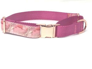 martingale collar with metal buckle