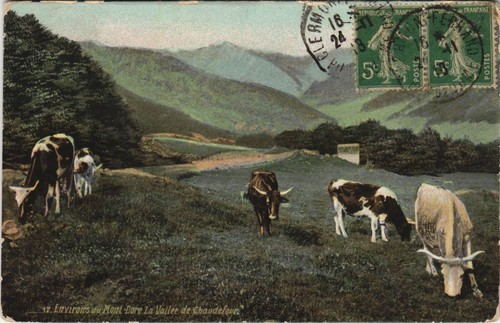 CPA/DEP 63/ENVIRONS DE Mont Dore Excursion Au Pic De Sancy EUR 12,00