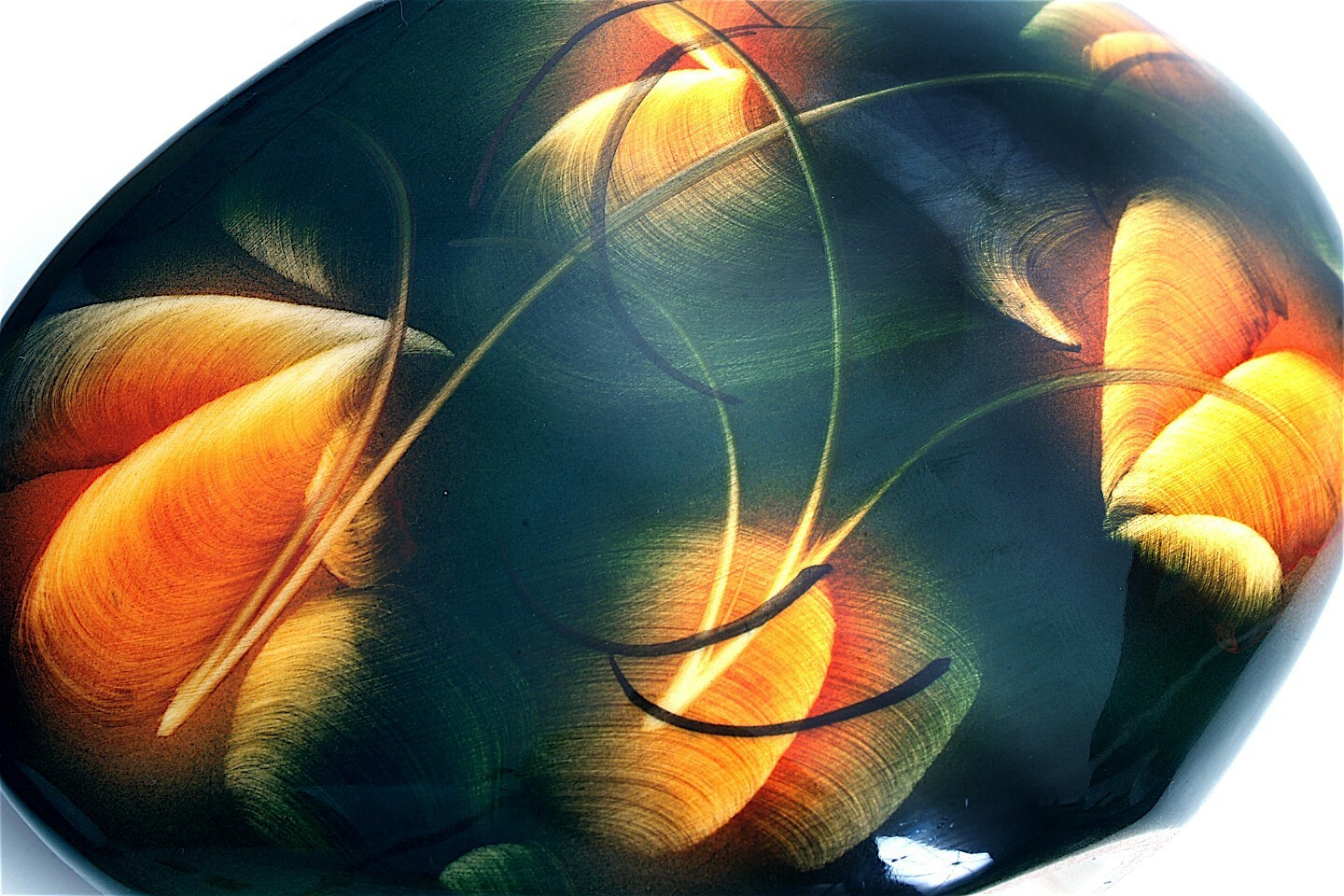 Bild 6 von 8