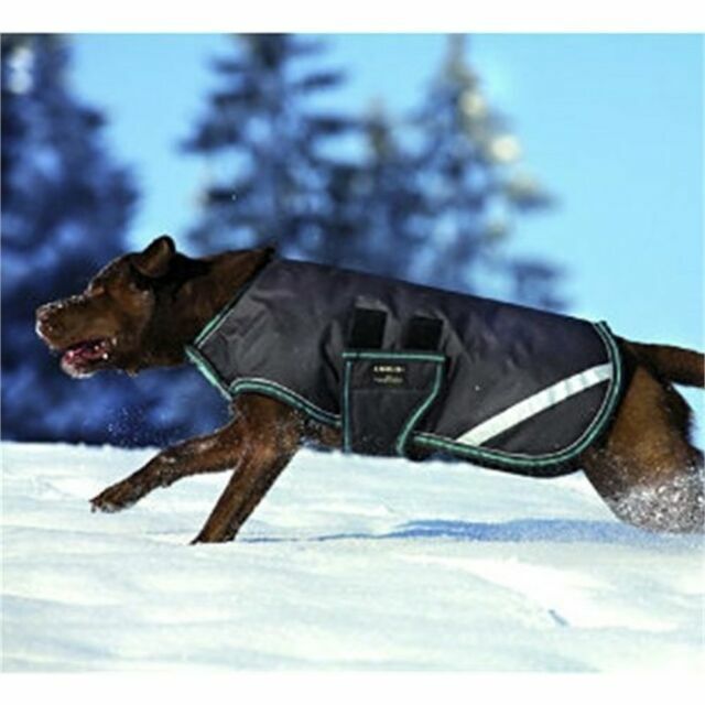 horseware dog coat