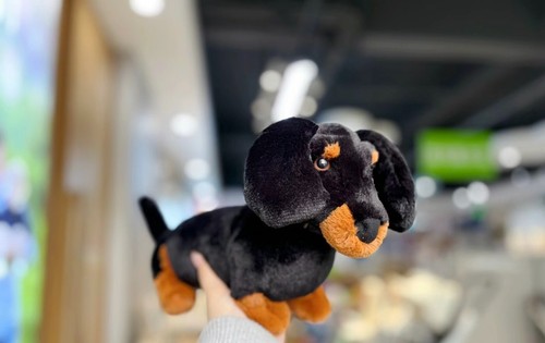 Jellycat Freddie Sausage Dog Medium - Picture 2 of 2
