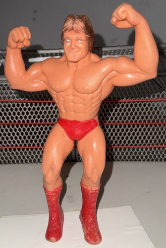 Vintage LJN Titan Sports WWE WWF Mr. Wonderful Pau...