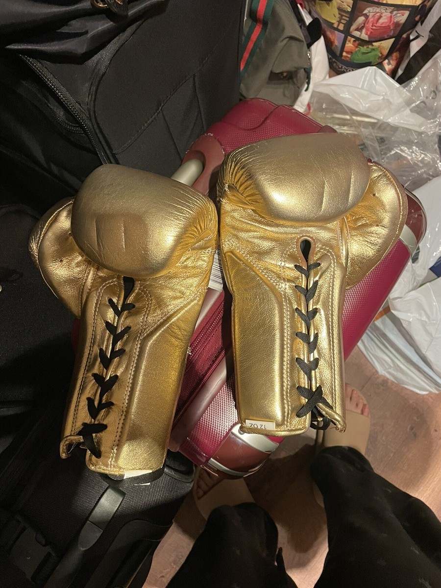 ノーボクシングノーライフコンパクトミット no boxing no life gloves | eBay