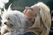 * Sylvie Vartan - Exclusive RARE PHOTO  N 2194 *