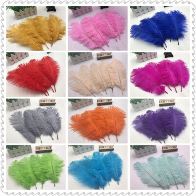 10-500pcs Natural Ostrich Feathers 6-24 inches//15-60 cm Multipurpose Decoration