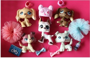 lps collie and cocker spaniel