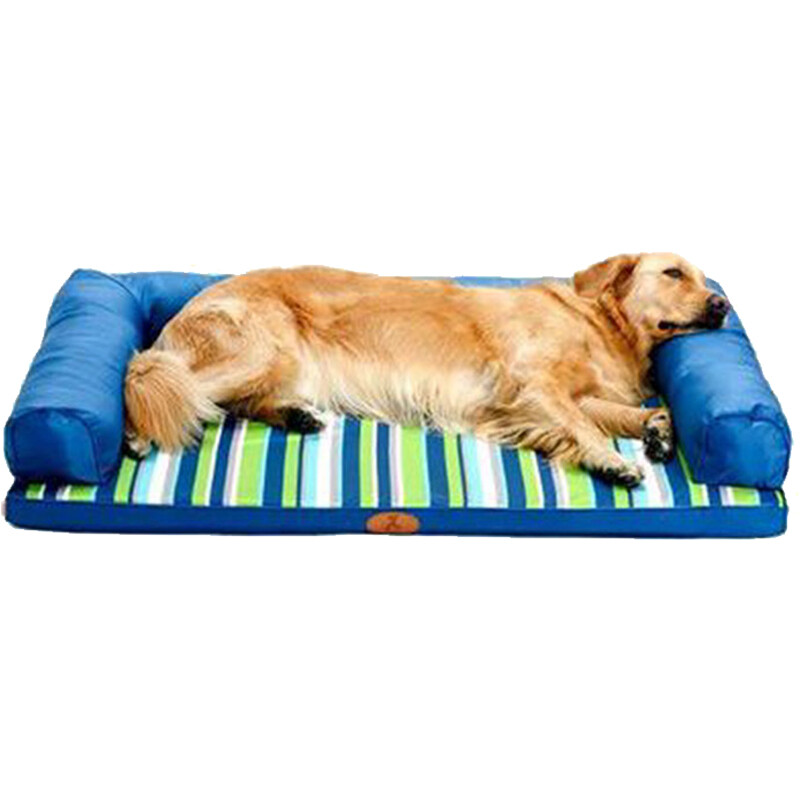 bed golden retriever