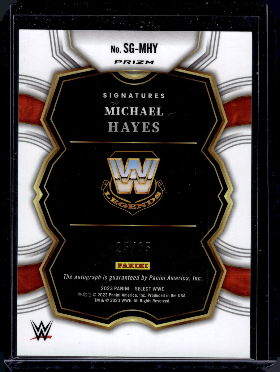 WWE PANINI PAIGE 25シリ　サイン　Tie-Dye　カード WWE PANINI PAIGE 25シリ サイン Tie-Dye カード 【公式通販】