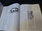 Dragon Magazine #94 February 1985 Creature Catalog II New Ranger Rules TSR AD&D — photo 7