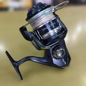 Stradic SW 6000 | eBay