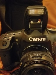 canon digital professional 4 revert canon digital professional 4 revert