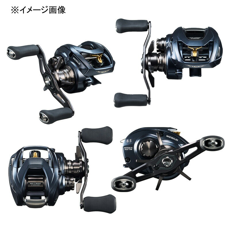 Daiwa Steez A II TW Bait Reel l 1000XH jp | eBay