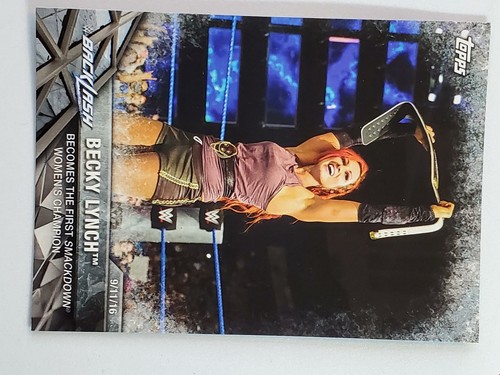 You Pick Your Cards - WWE Diva Smackdown RAW NXT - Wrestling Card Selection - Picture 48 of 119