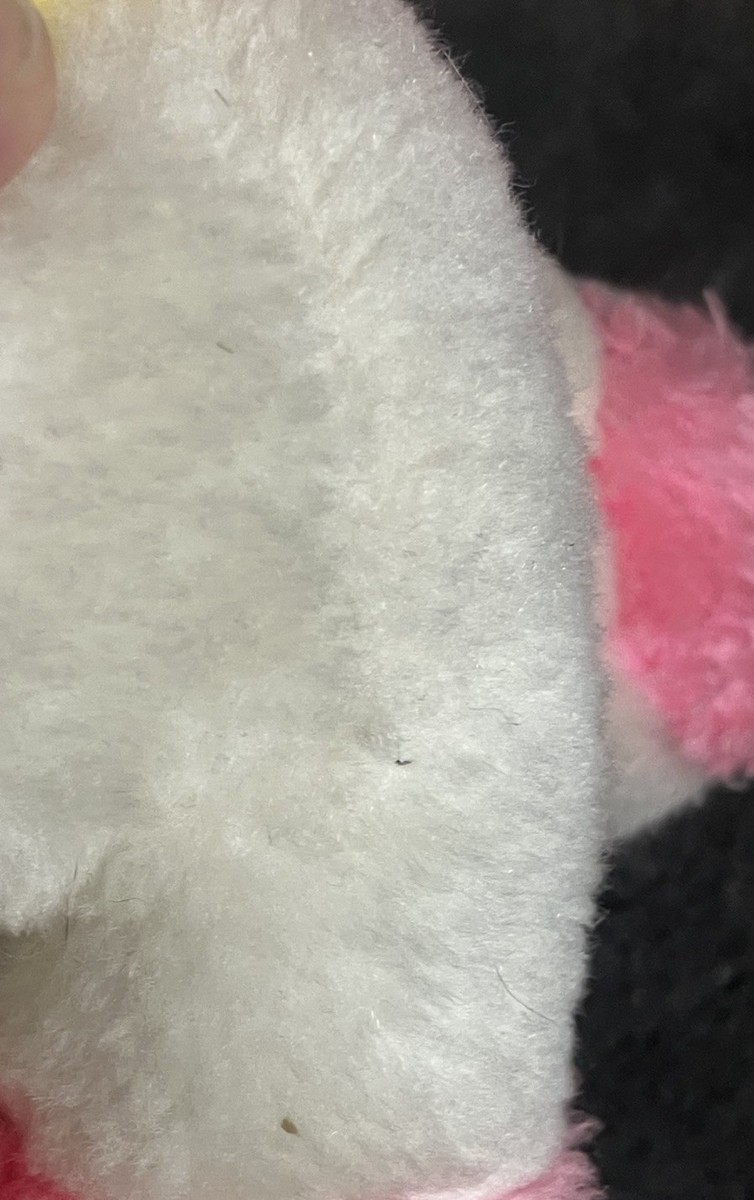 ぱぴぷー $_12.JPG?set_id=880000500F