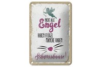Blechschild Spruch Nicht Alles Engel Haben FlüGel 12X18 Cm Schild