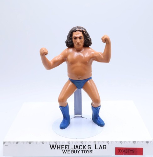 Andre The Giant Long Hair 8 Wrestling Superstars W...