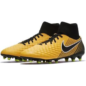 magista 2017