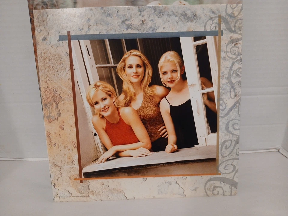 Dixie Chicks WIDE OPEN SPACES BLACK VINYL RECORD LP — 第 4/4 张图片