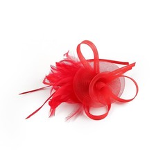 Fascinators Hats 20s 50s Pillbox Hat Tulle Fascinators for Women Tea Party He...
