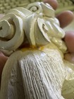 Bild 9 von 11
