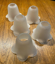 ClassicFrosted Tulip Edge