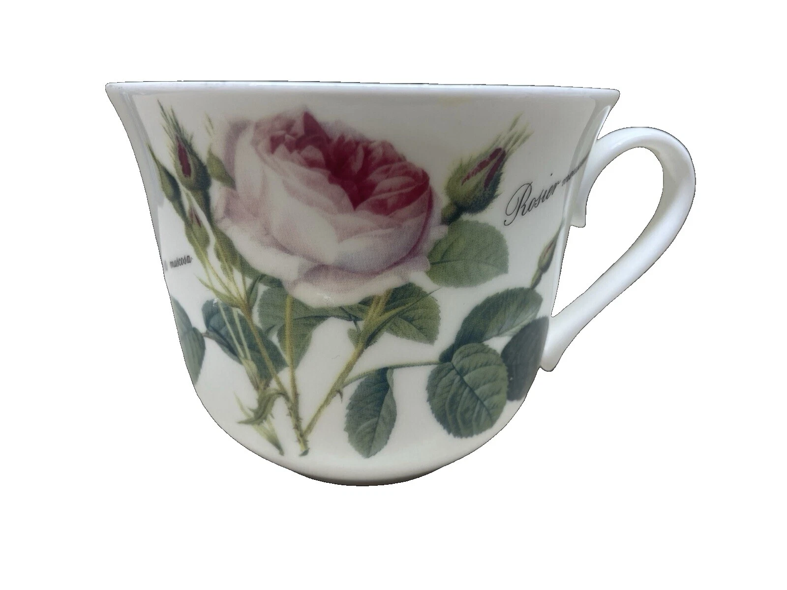 Roy Kirkham Bone China Tazas y Platillos