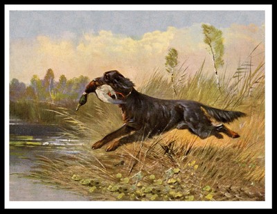 GORDON SETTER RETURNING WITH DUCK VINTAGE STYLE DOG ART PRINT POSTER