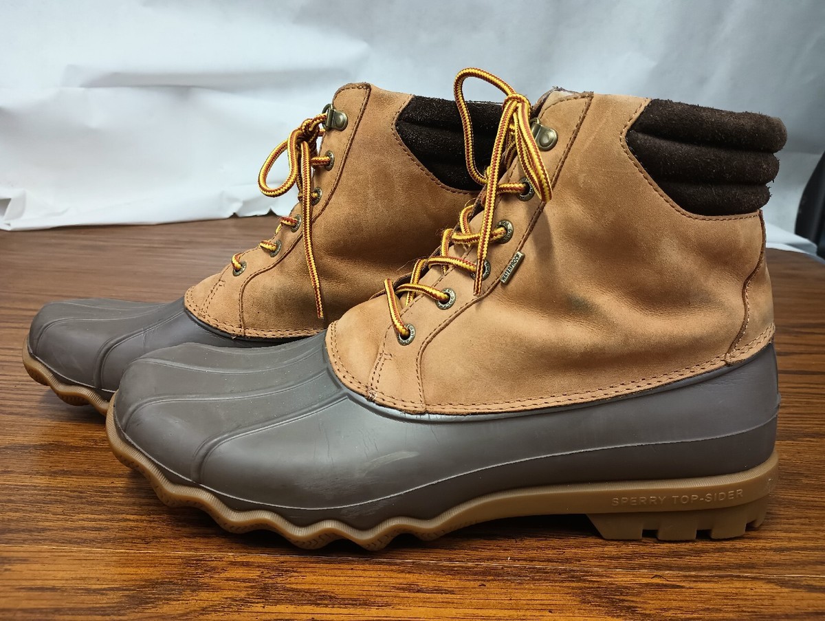 sperry men's avenue waterproof duck boots