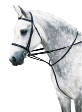 Market Harborough Martingale Training Schooling Lunge Full Size Black Or Brown