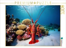 CALVENDO Puzzle Languste im blauen Meer 1000 Teile Lege-Gr e 64 48 cm Foto-