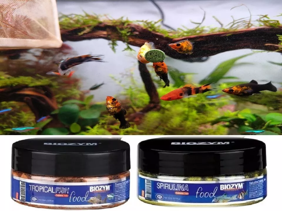 Tropical fish top food ebay