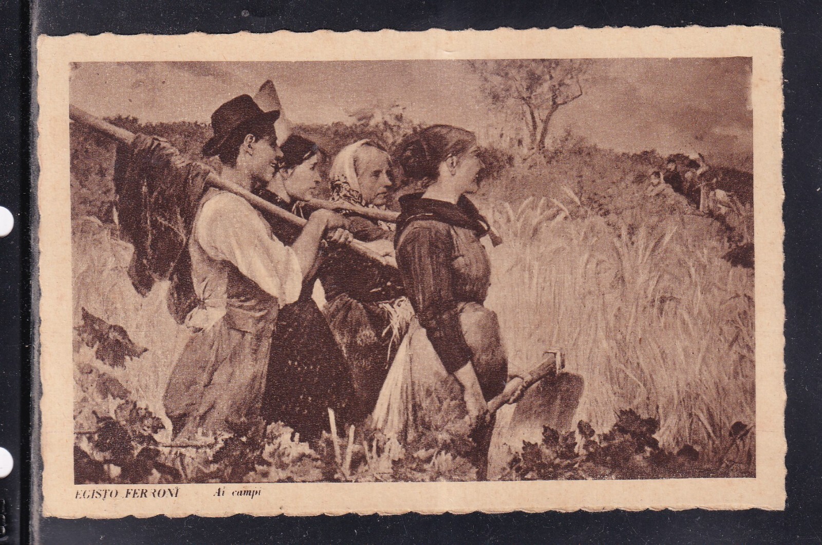 Cartolina Pittore Egisto Ferroni ai Campi YB549