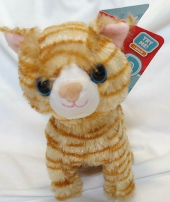 kid connection walking cat