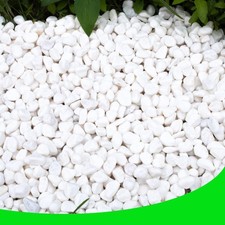 18lb White Pebbles 1/2 Inch Decorative Stones for Plants Garden Vase