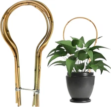 6 Pack Bamboo Trellis Round-Shaped for Potted Plant, 16 Inch Plant Support Stake