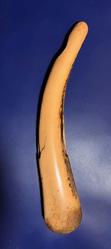 Antique Meiji Japanese Stag Horn Kiseruzutsu Pipe Case - Flowering Shrub on Rock - Picture 2 of 21